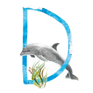 ABC Karte D wie Delphin, Buchstaben ABC, ABC Karten