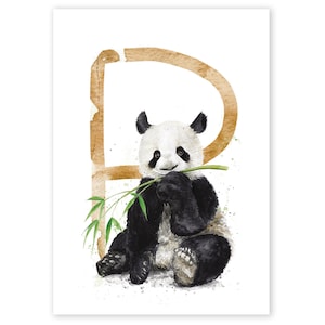 ABC Karte P wie Panda, Buchstaben ABC, ABC Karten