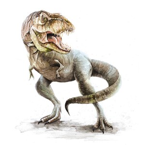 May include: A watercolor painting of a Tyrannosaurus Rex dinosaur with a green, brown, and gray color scheme. The dinosaur is depicted with its mouth open, showing its teeth, and its tail curled around its body.