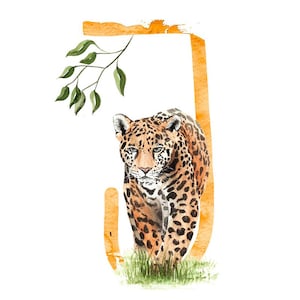 ABC Karte J wie Jaguar, Buchstaben ABC, ABC Karten