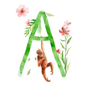 ABC Karte A wie Affe, Buchstaben ABC, ABC Karten