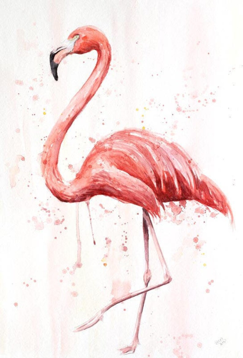 flamingo print image 3