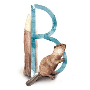 ABC Karte B wie Biber, Buchstaben ABC, ABC Karten