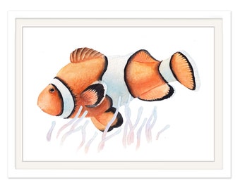 Tierposter Clownfisch, Anemonenfisch