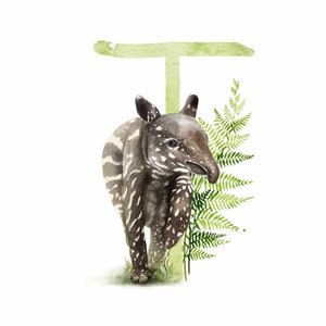ABC Karte T wie Tapir, Buchstaben ABC, ABC Karten