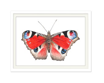 print butterfly