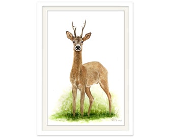 Print Deer