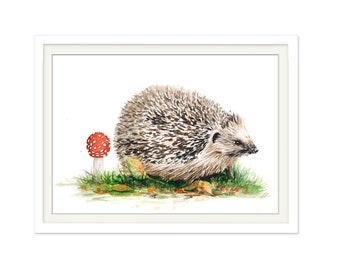 Poster Hedgehog, Watercolor