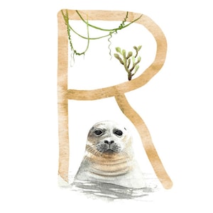 ABC Karte R wie Robbe, Buchstaben ABC, ABC Karten