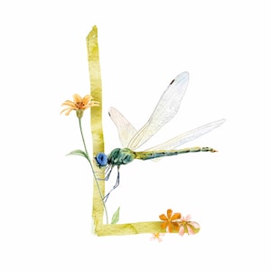 ABC Karte L wie Libelle, Buchstaben ABC, ABC Karten