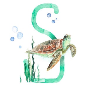 ABC Karte S wie Schildkröte, Buchstaben ABC, ABC Karten