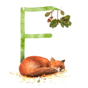 ABC Karte F wie Fuchs, Buchstaben ABC, ABC Karten