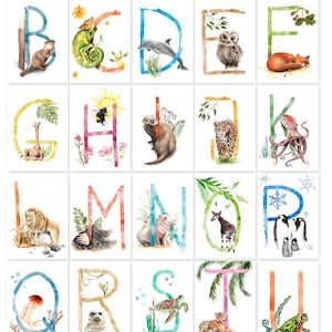 Buchstaben Karten im Set, Buchstaben ABC, ABC Karten