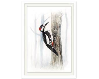 Poster Spotted Woodpecker, Watercolor, Print, Woodpecker