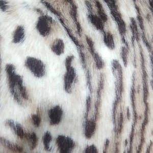 May include: Close-up of a white and brown faux fur fabric with a leopard print pattern.