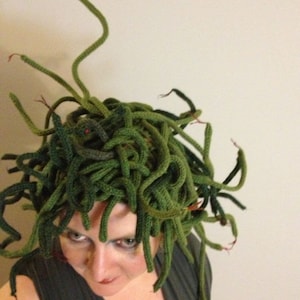 May include: A green Medusa wig made of yarn, with numerous snake-like strands. The wig features red accents at the tips of the snakes, creating a unique costume piece for Halloween or cosplay events.