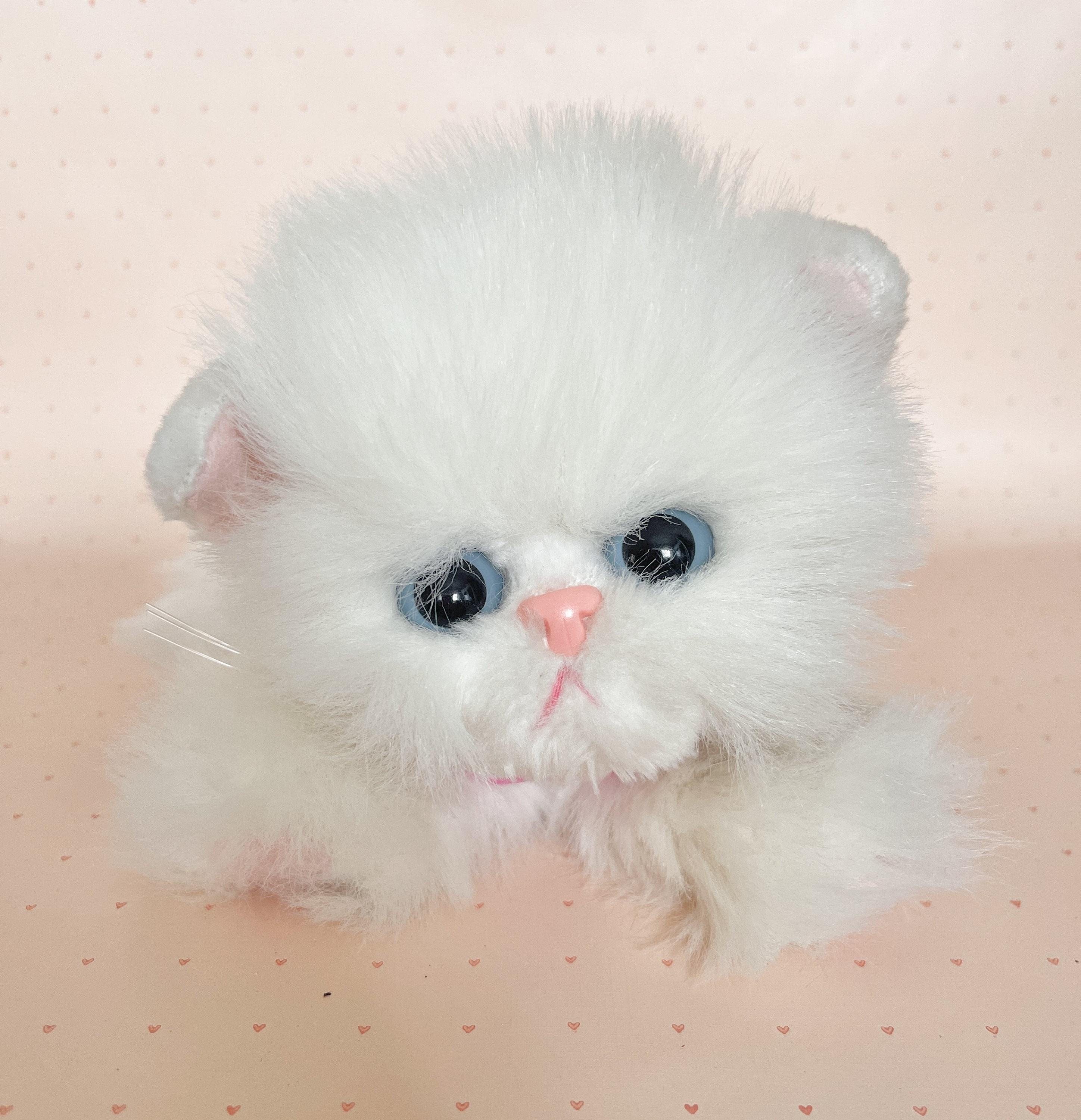 coconut KITTY princess 2001年 Kitty Kitty Kitten Snowball Plush 2001 Purrs White Persian
