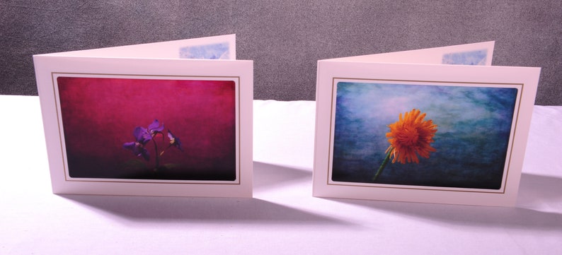 Colorful Floral Greeting Cards You Can Frame - Colorful Birthday Cards ...