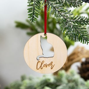 Cat Lover Gift, Cat Ornament, Cat Owner Gifts, Cat Ornament Personalized, Crazy Cat Lady, Cat Mom, Cat Themed Gifts, Pet Owner Gifts