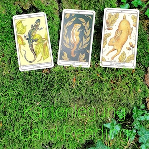 Woodland Warden, Kartenlegung, Intuitive Orakel Karten
