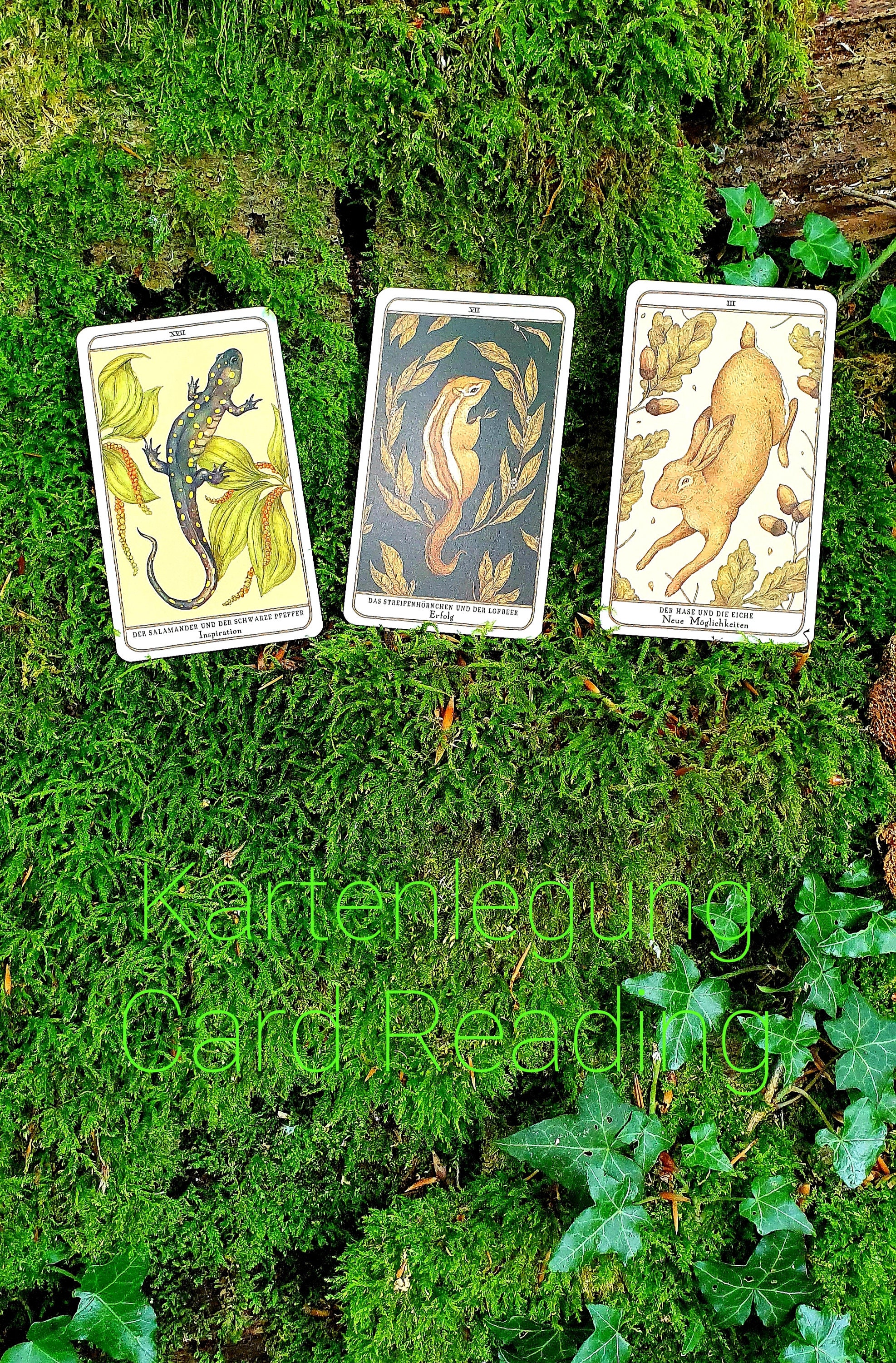 Woodland wardens tarot cards - Etsy 日本
