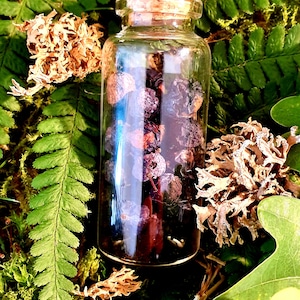Sloeberries, Blackthorn Berries, Protection, traditional Witchcraft