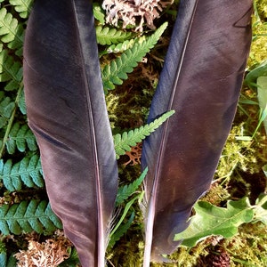 Raven feathers, magic, Witchcraft, traditional Witchcraft