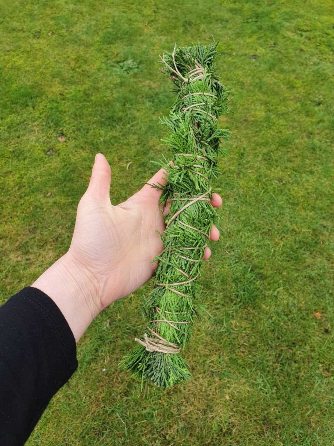 Northern White Cedar Smoking Bundle Smudging Wicca Magic Etsy