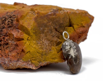 Ammonite with Moonstone Pendant