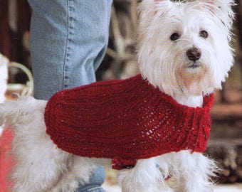 Patrón de suéter de perro de punto PDF de tamaño pequeño a extra grande
