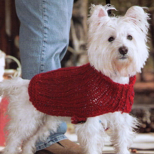 PDF Knit Dog Sweater Pattern Small to Extra Large