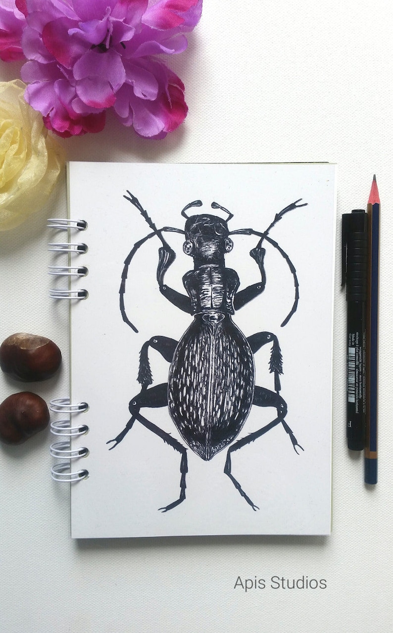 art journal Stag beetle scrapbook album travel journal insect illustration A5 notebook eco friendly recycled paper