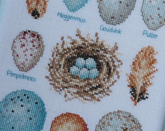 Bird Eggs - cross stitch pattern - instant download