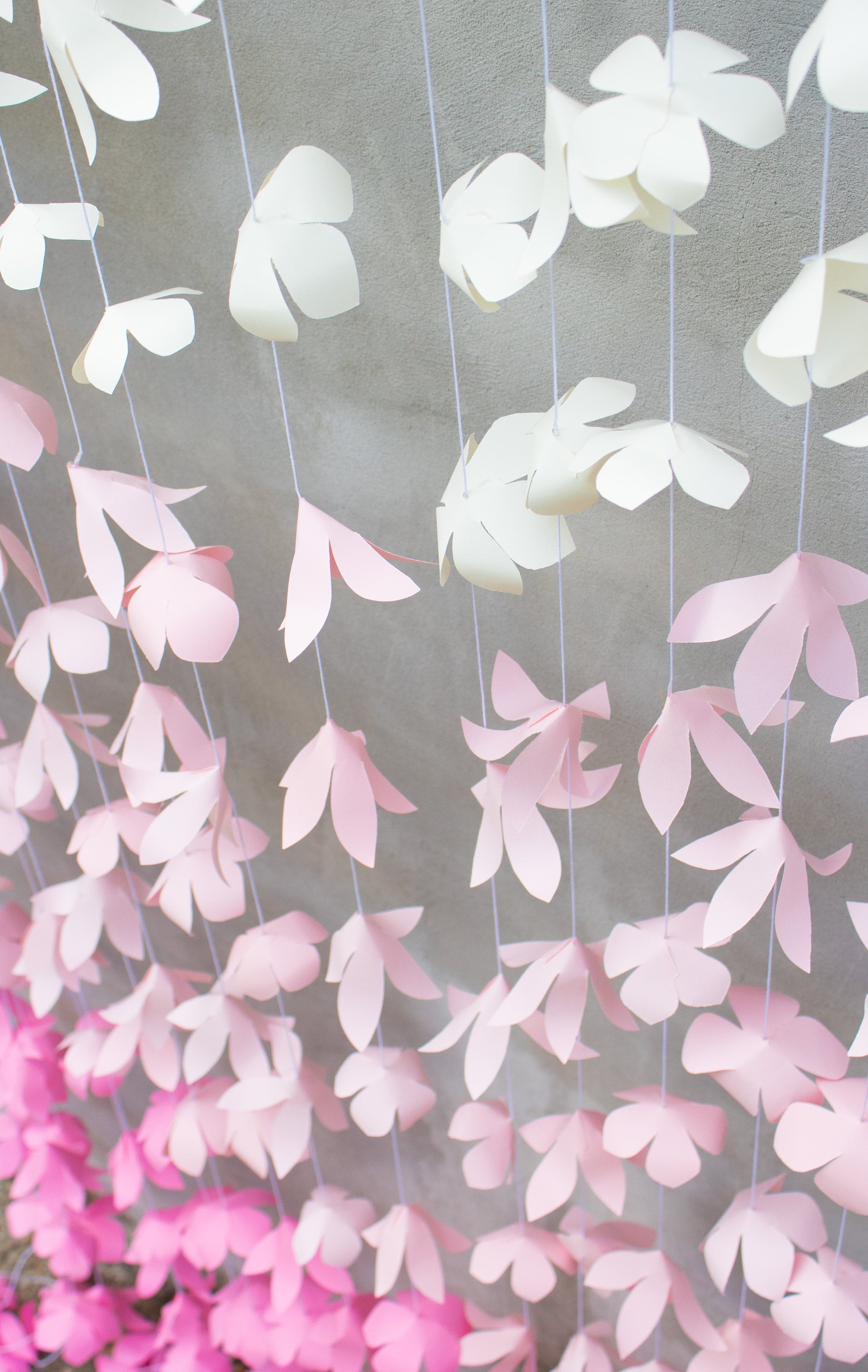 Paper Flower Garland Backdrop