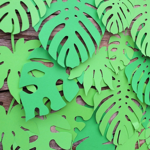 Tropical Paper Monstera Leaf Cutouts, Safari Birthday Party Decor, 50 Pack,  Jungle Baby Shower - Etsy Israel