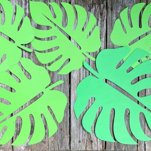 5 foglie di carta tropicale verde, foglie di palma, foglie d'oro, fustellati, grandi foglie di palma monstera, sfondo Safari, confezione da 5 ritagli di foglie