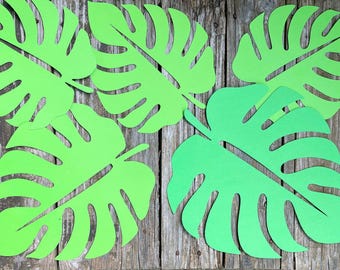 Hojas de Monstera de papel verde: Decoración para fiestas tropicales, paquete de 5
