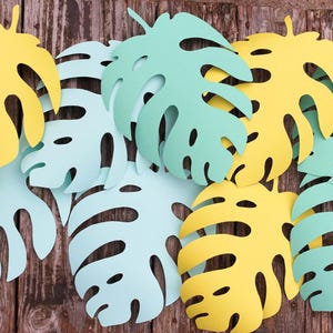 Folhas tropicais cortadas, folhas grandes de palmeira monstera, cenário Safari, pacote com 10 recortes de folhas