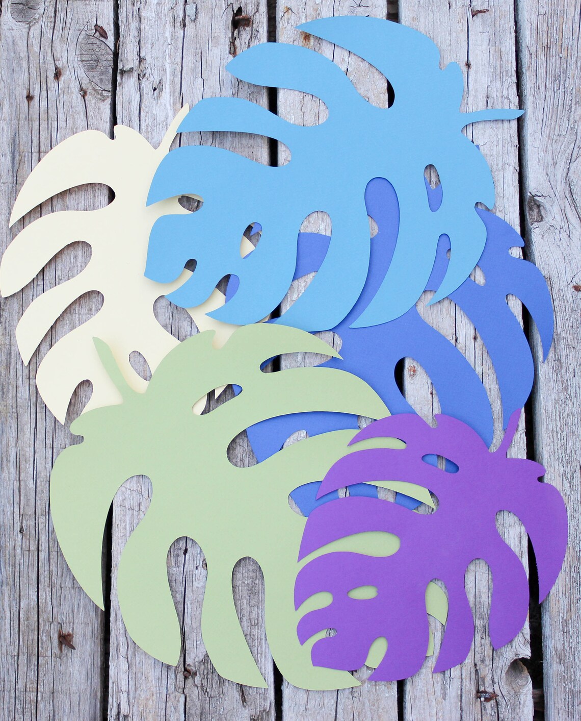 Tropical leaves die cuts Large monstera palm leaves Safari ...