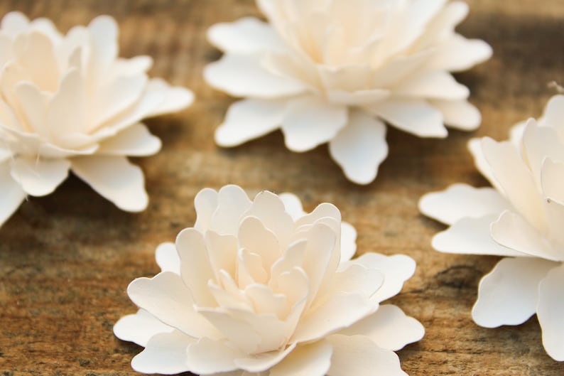Ivory paper flowers on a wooden desk.