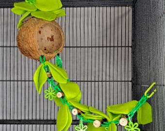 Leafy Coconut Cave Lime Sugar Glider Natural Toy Hideaway, Hideout, Sugar Bear toy, Pocket Pet toy, Bird toy, small animal, exotic