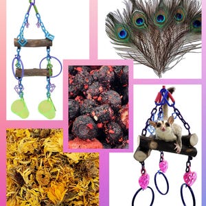 Eucalyptus Sugar Glider Enrichment Bundle-Sugar Glider Toy Sugar Bear toy, Pocket Pet toy, Bird toy, small animal toy, exotic animal toy