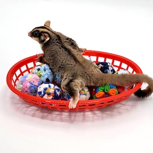 May include: A sugar glider in a red plastic basket with colorful fabric balls.