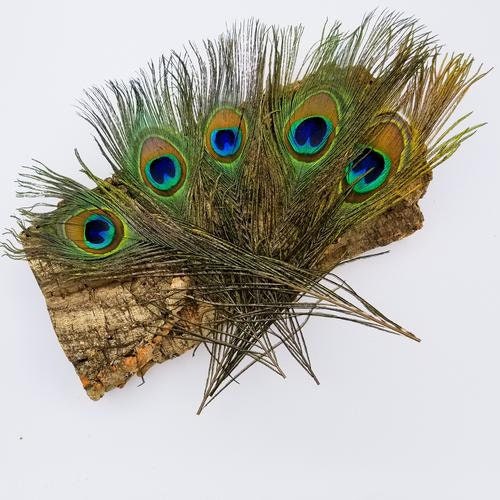 Sugar Glider Enrichment Treat Organic Dried Rose Petals Etsy