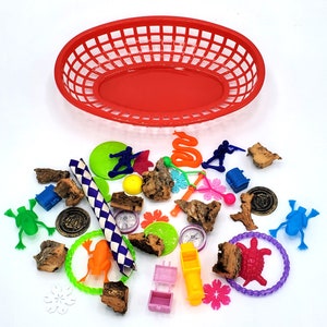 Deluxe Sugar Glider Toy Box Sugar Bear toy, Pocket Pet toy, Bird toy, small animal toy, exotic animal toy