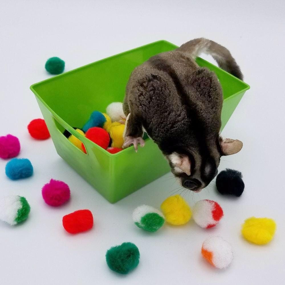 Sugar Glider Ball Pit Sugar Bear toy, Pocket Pet toy, Bird toy, small