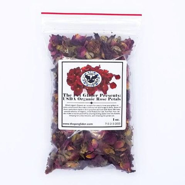 Sugar Glider Food Etsy