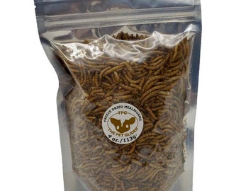 Dried Mealworms