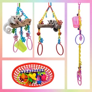 Starter Sugar Glider Toy Bundle-Sugar Glider Toy Sugar Bear toy, Pocket Pet toy, Bird toy, small animal toy, exotic animal toy