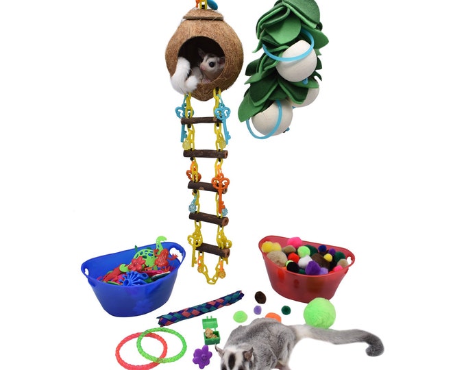 Sugar glider on sale cage toys